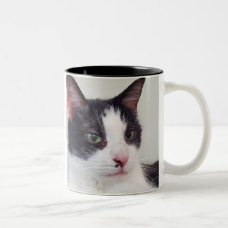 Cats, tea and a good book Two-Tone coffee mug