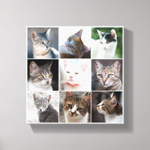 CATS - template Canvas Print