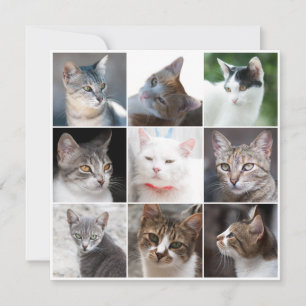 CATS template - change photo