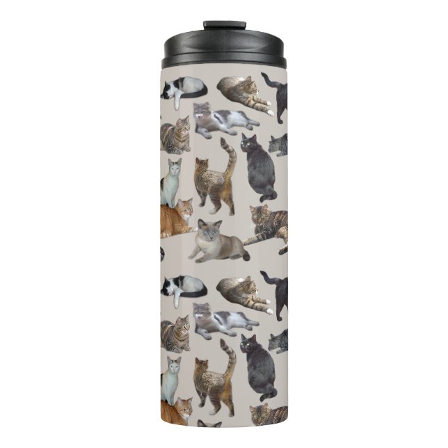 Cats Thermal Tumbler (Front)
