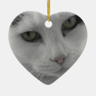 Cats Thoughts Ceramic Tree Decoration