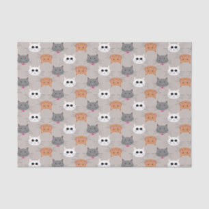 Cats Tissue Paper