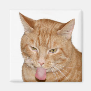 Cats tongue magnet