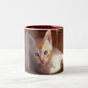 Cats Two-Tone Coffee Mug