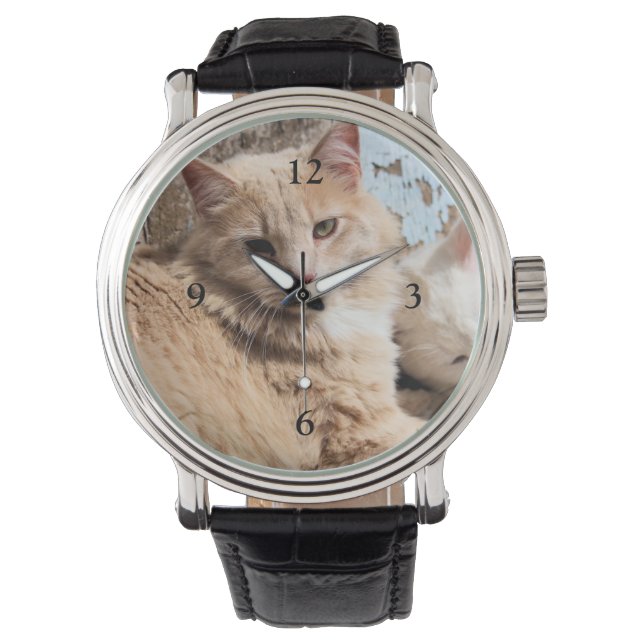 Cats  watch (Front)