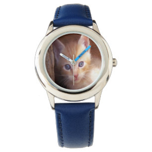 Cats Watch