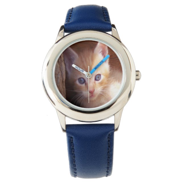 Cats Watch (Front)