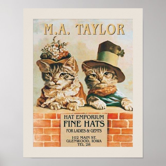 Cats Wearing Hats Poster (Front)