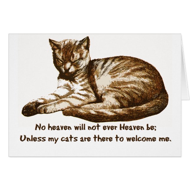 Cats Welcome Me (Front Horizontal)