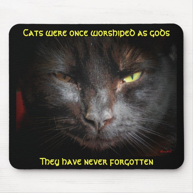 Cats Were Worshipped, They don't forget Mouse Pad (Front)