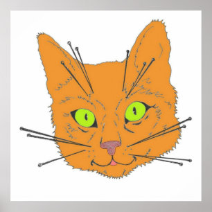 Cat's Whiskers Poster