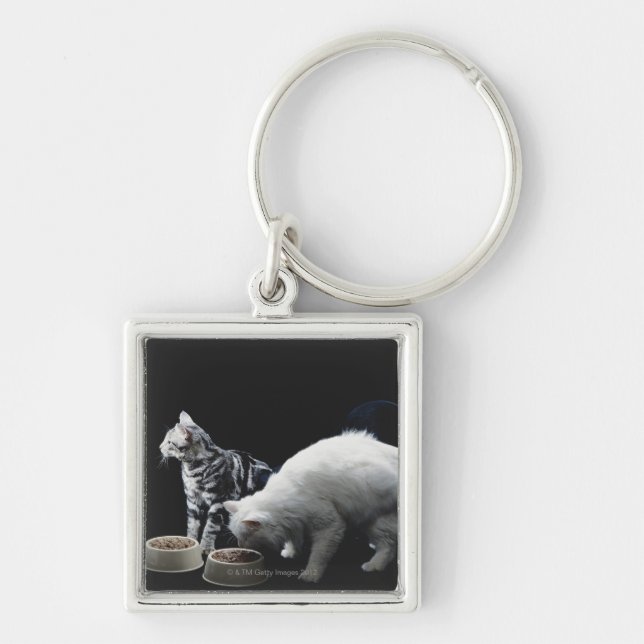 Cats with bowl of food key ring (Front)