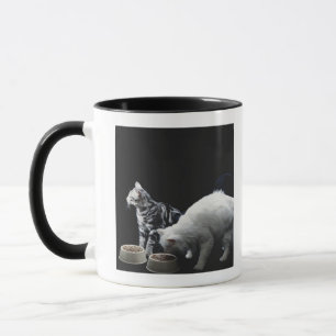 Cats with bowl of food mug