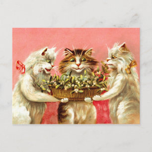 Cats with Mistletoe Postcard
