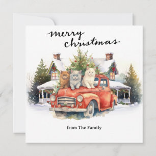 Cats with  Vintage Red Truck for pet lovers Holiday Card
