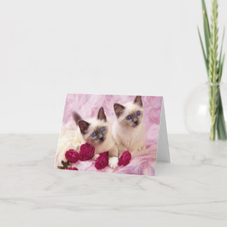 catsinlove card