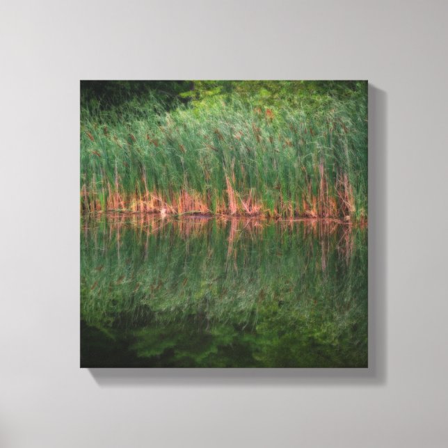 Cattail Reflections In Pond Orton Effect Canvas Print (Front)