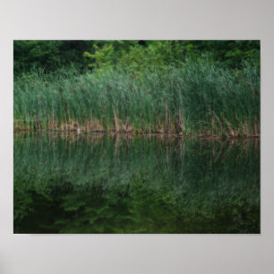 Cattail Reflections In Pond Orton Effect Poster