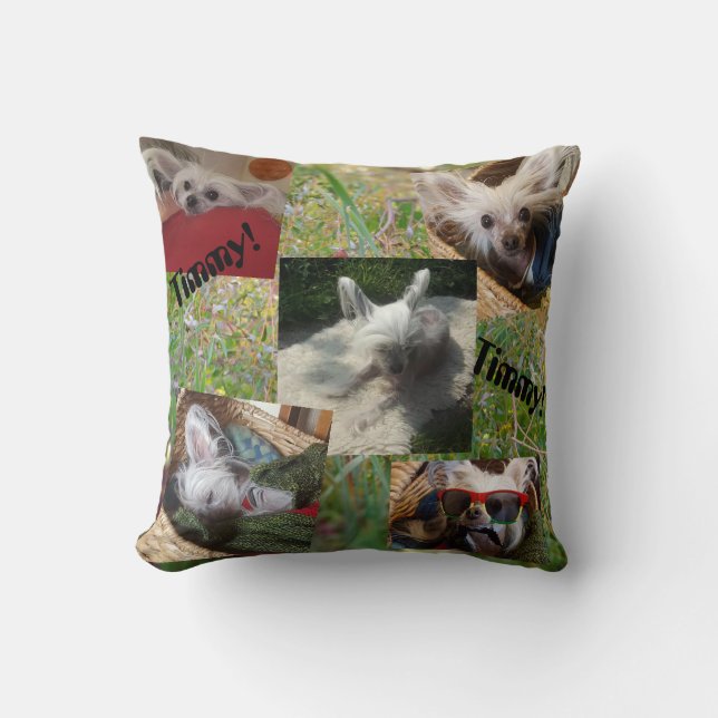 Cattails and cute dog cushion (Front)