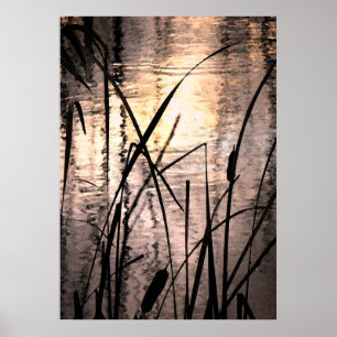 Cattails at Sunset Poster