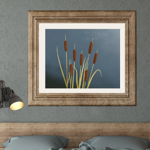 Cattails Fine Art Print