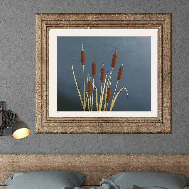 Cattails Fine Art Print (Creator Uploaded)