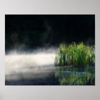 Cattails In The Mist On A Pond Orton Art
