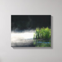 Cattails In The Mist On A Pond Orton