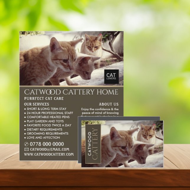 Cattery, Pet Boarding Service, Advertising Flyer (Creator Uploaded)