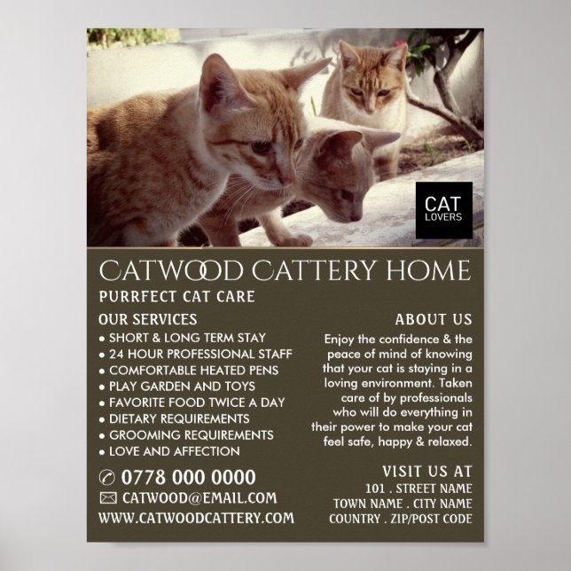Cattery, Pet Boarding Service, Advertising Poster (Front)