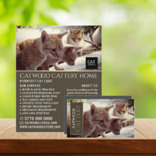 Cattery, Pet Boarding Service Business Card
