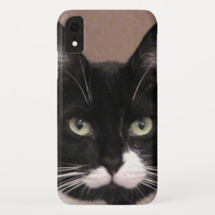 Cattitude iPhone Case