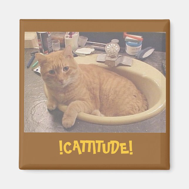 !CATTITUDE!, (Or why I can't clean) Magnet (Front)
