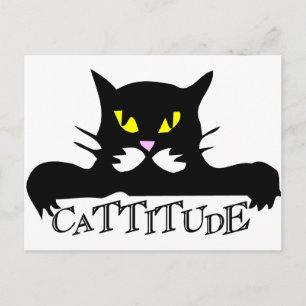 cattitude postcard