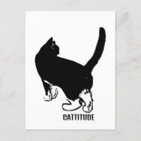 Cattitude