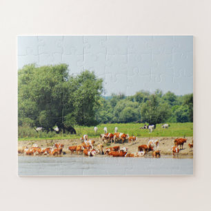 Cattle and the River Danube Jigsaw Puzzle