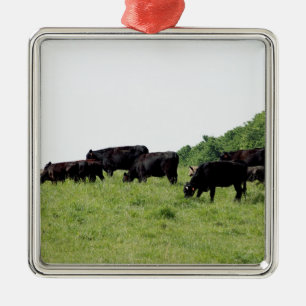 Cattle Black Angus Metal Tree Decoration