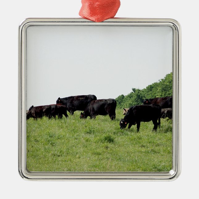 Cattle Black Angus Metal Tree Decoration (Front)