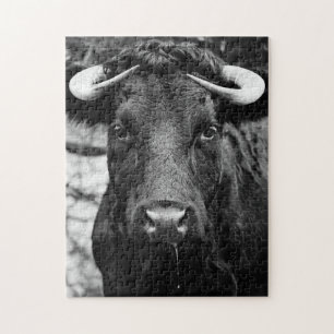 Cattle Black & White Jigsaw Puzzle