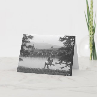 Cattle by a pond with two cowboys. card