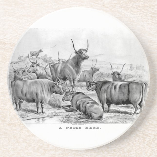 Cattle Coaster (Front)