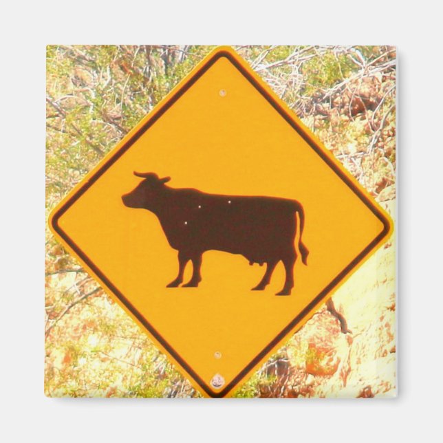 cattle crossing magnet (Front)