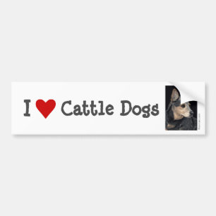 Cattle Dog Bumper Sticker - "Quigley"