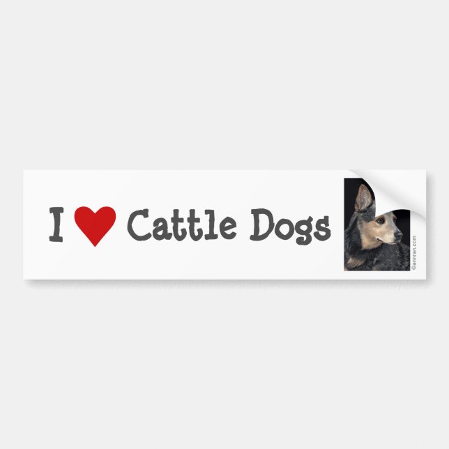 Cattle Dog Bumper Sticker - "Quigley" (Front)