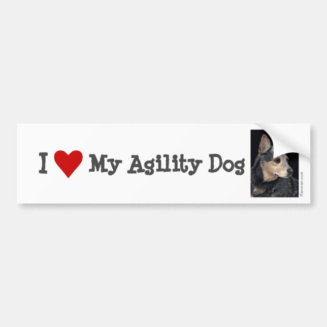 Cattle Dog Bumper Sticker - "Quigley" 2 (Front)