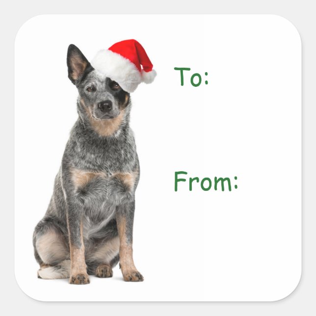 Cattle Dog Christmas Gift Stickers (Front)