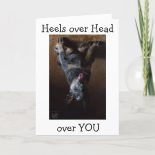 CATTLE DOG IS UPSIDE DOWN AND IN LOVE WITH YOU HOLIDAY CARD
