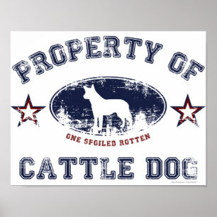 Cattle Dog Poster
