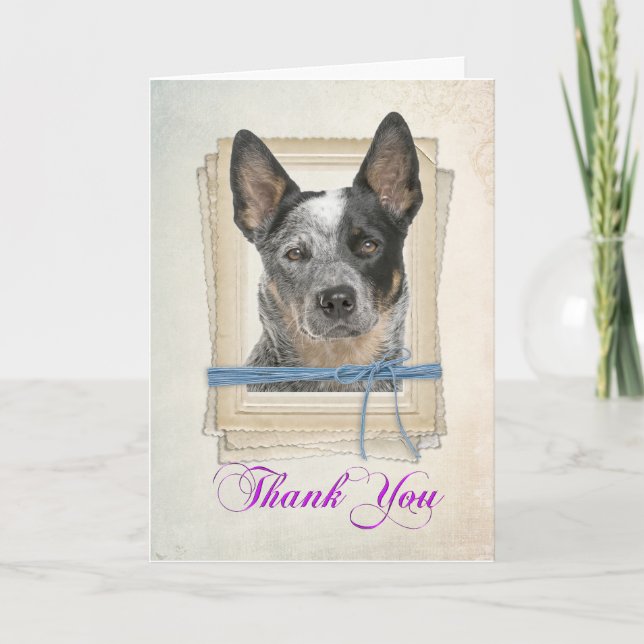 Cattle Dog Thank You Card (Front)