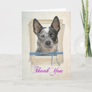 Cattle Dog Thank You Card